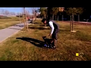 Repor Antena3.mp4